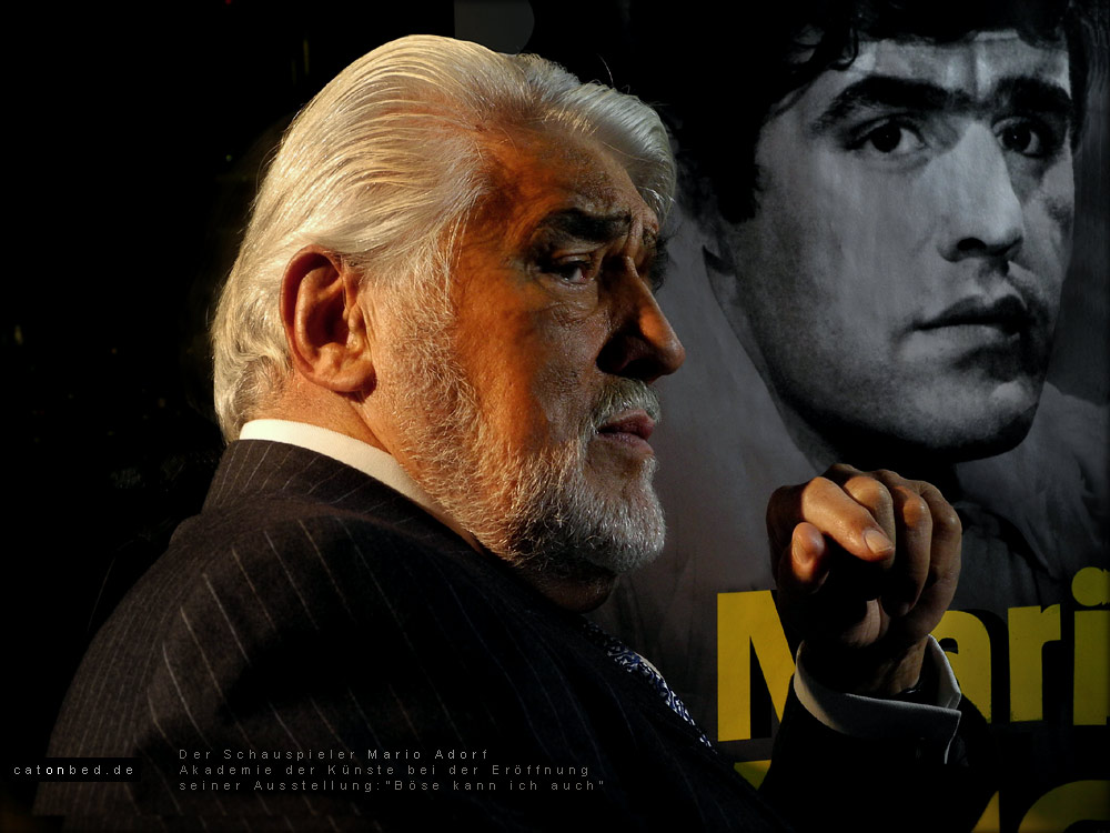 Mario Adorf, Akademie der Künste, Berlin