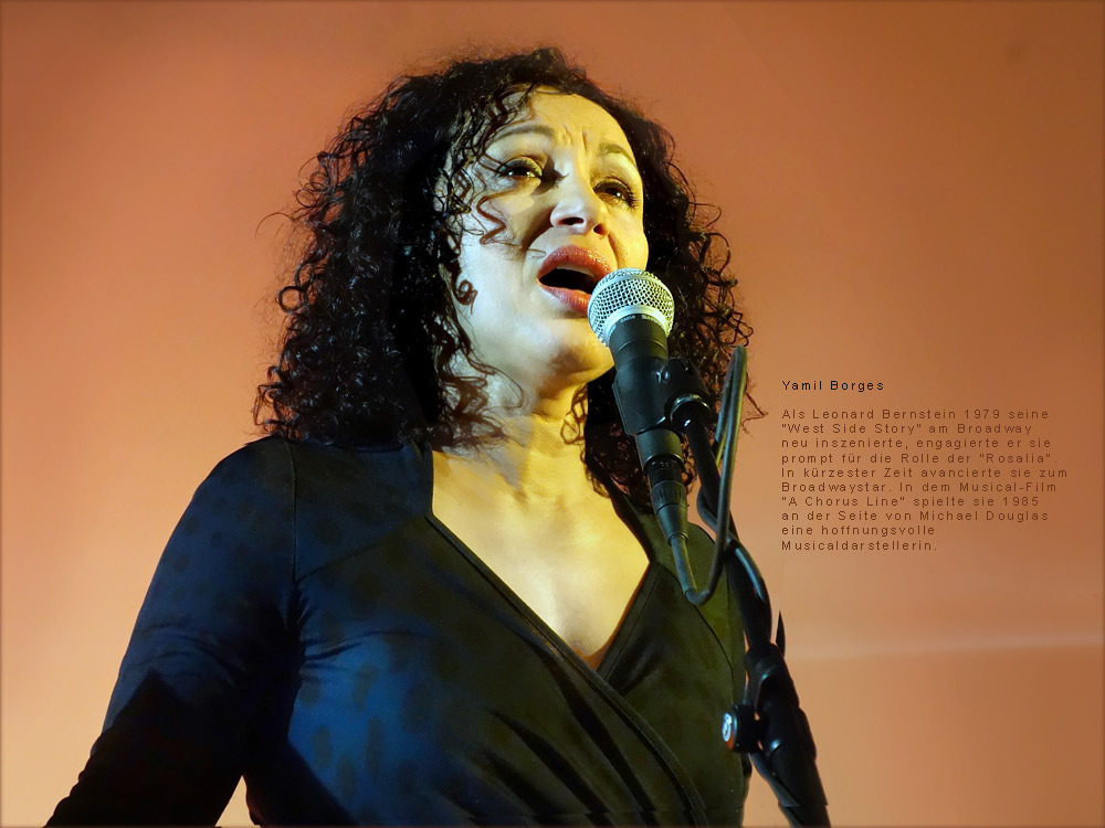 Yamil Borges, Gesang