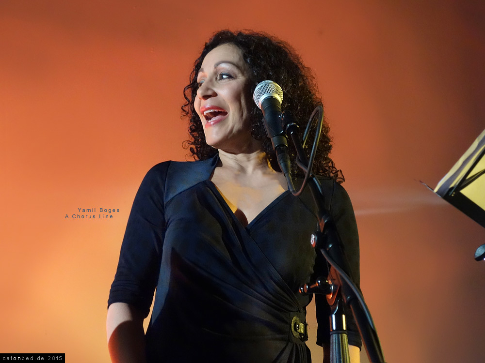 Yamil Borges, Gesang