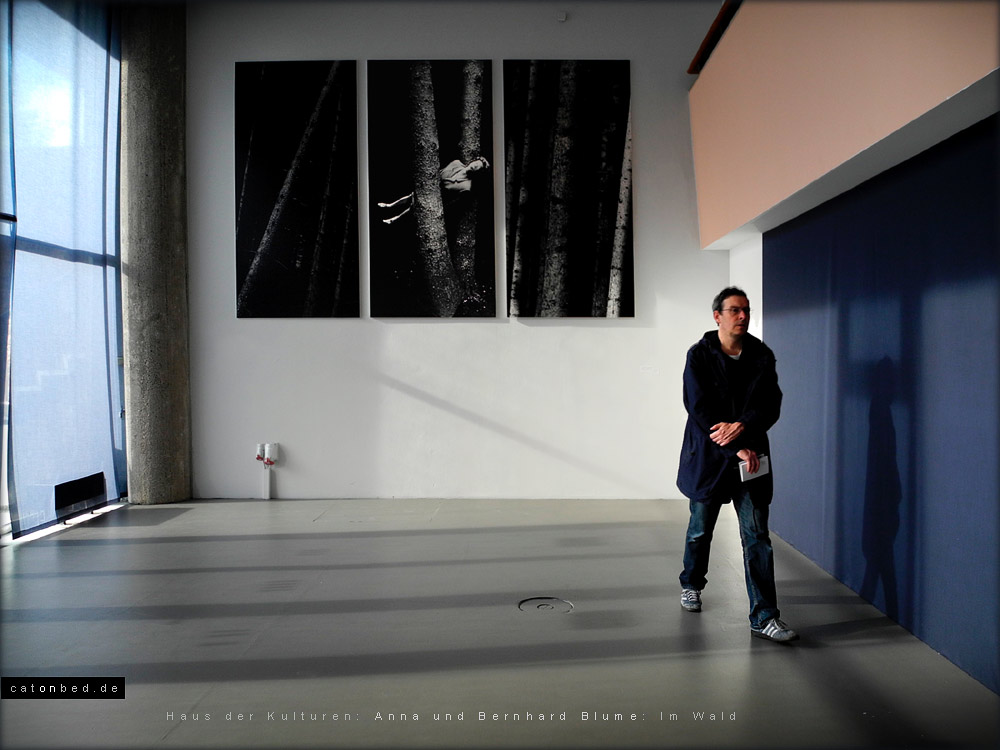 Animismus, Haus der Kulturen, 2012