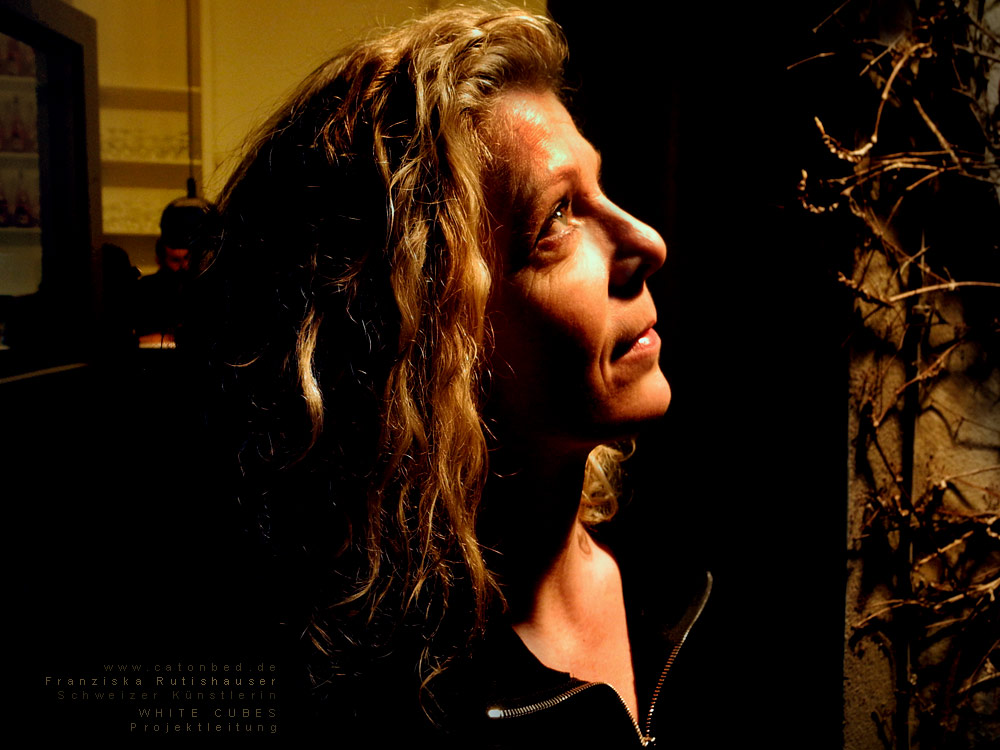 Franziska Rutishauser, Organisation  WHITE CUBES update 12  
