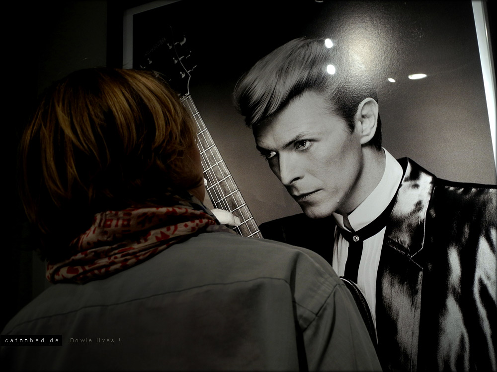 Frauen und Bowie