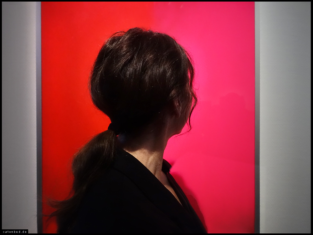 AMAZONEN  - AMAZONEN / ROMY Campe