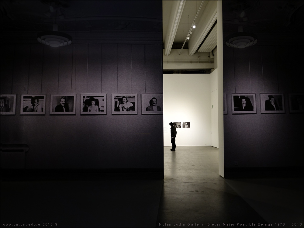 Dieter Meier: Possible Beings