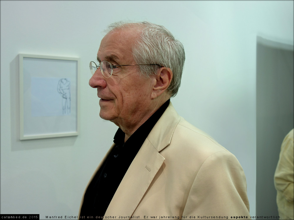 Manfred Eichel, Aspekte-Journalist