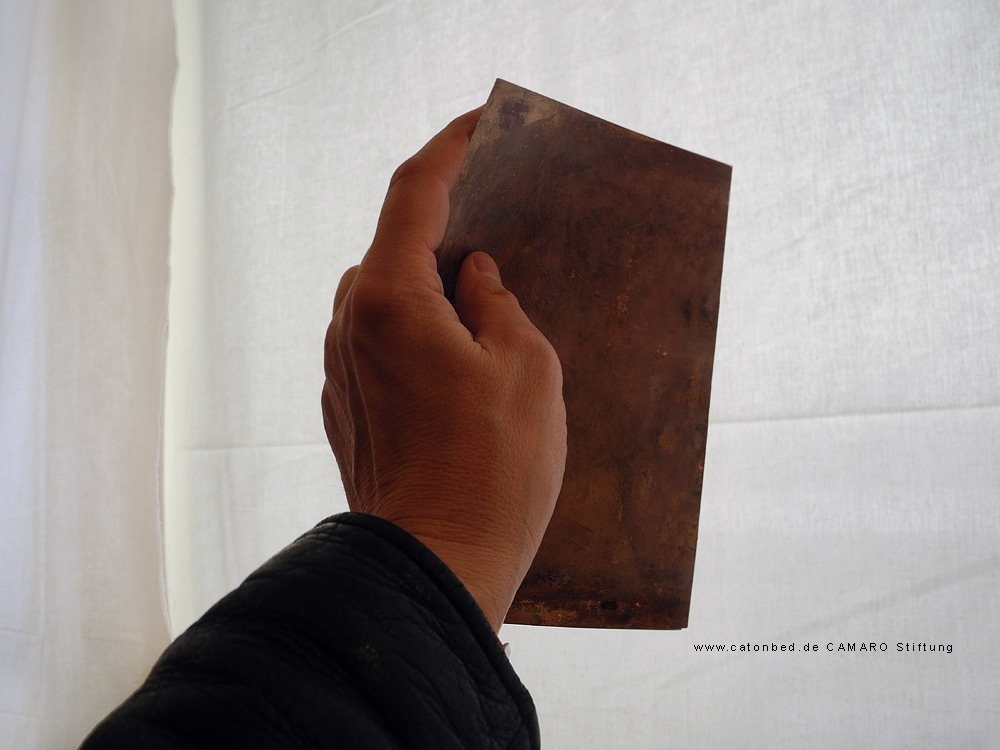 Meine Hand 2013-4