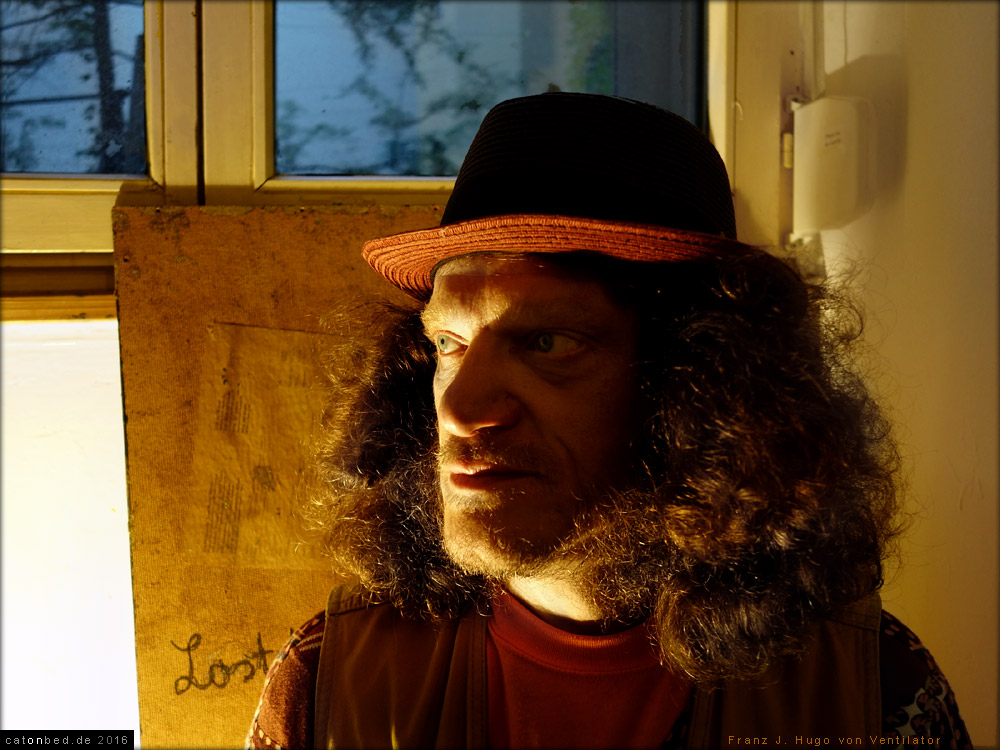 Franz J. Hugo, 2016-9