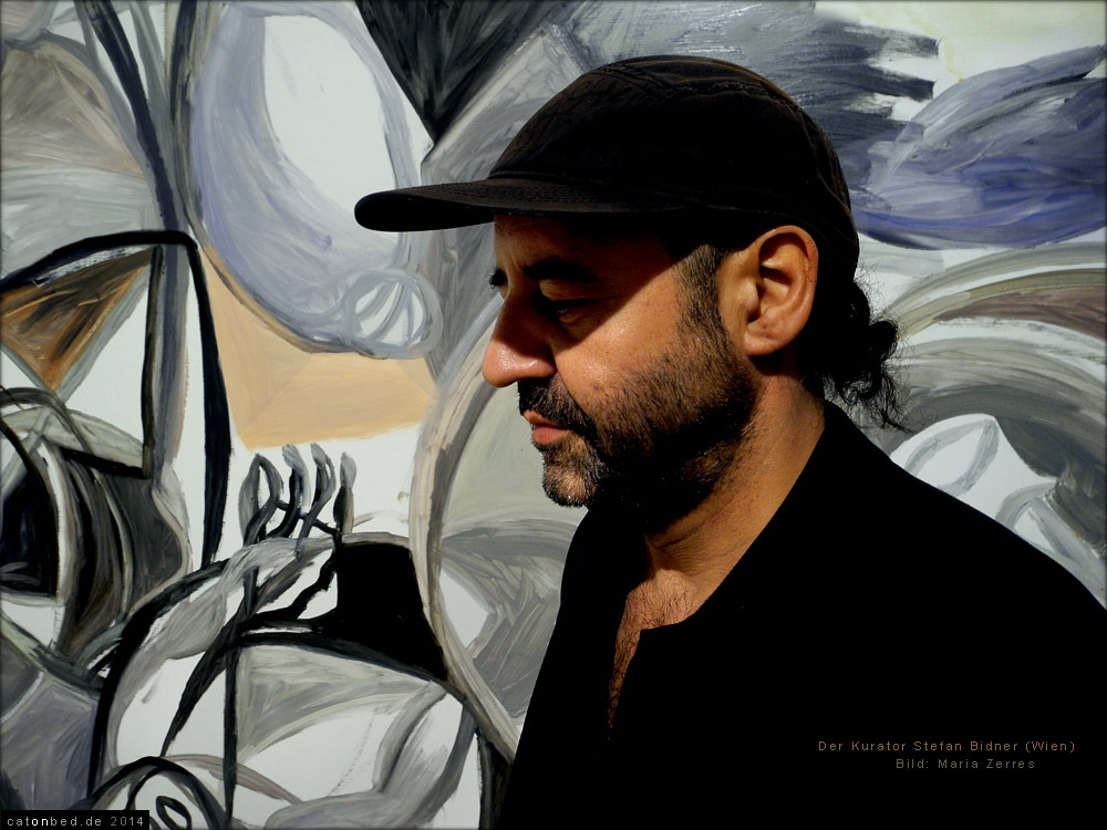 Stefan Bidner, Kurator