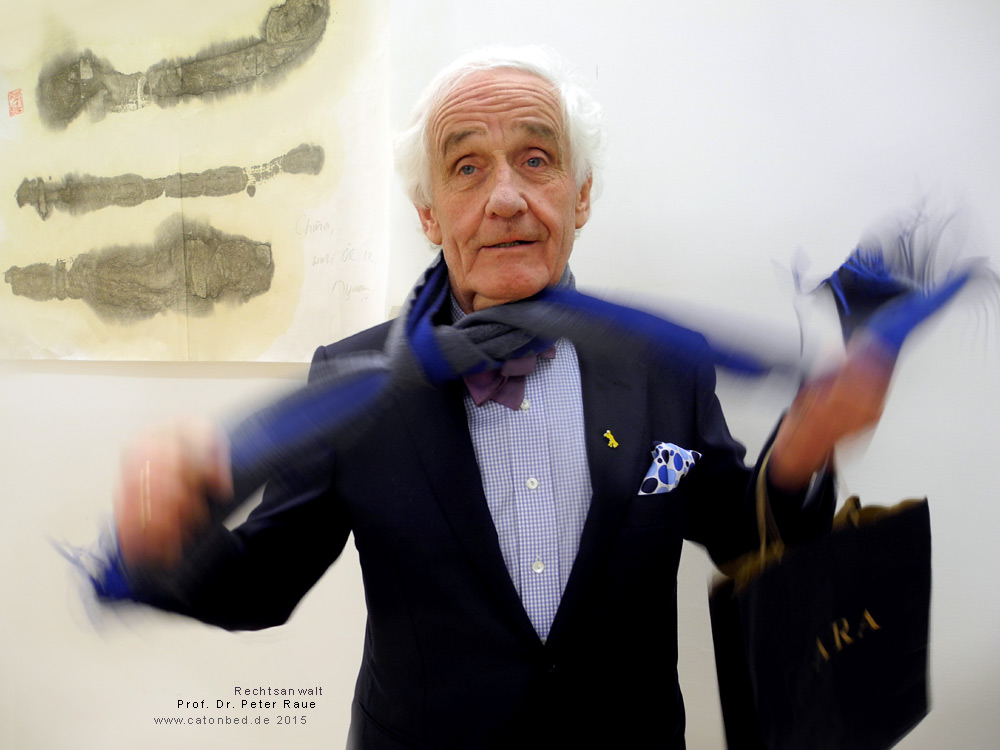 Rechtsanwalt Prof. Dr. Peter Raue