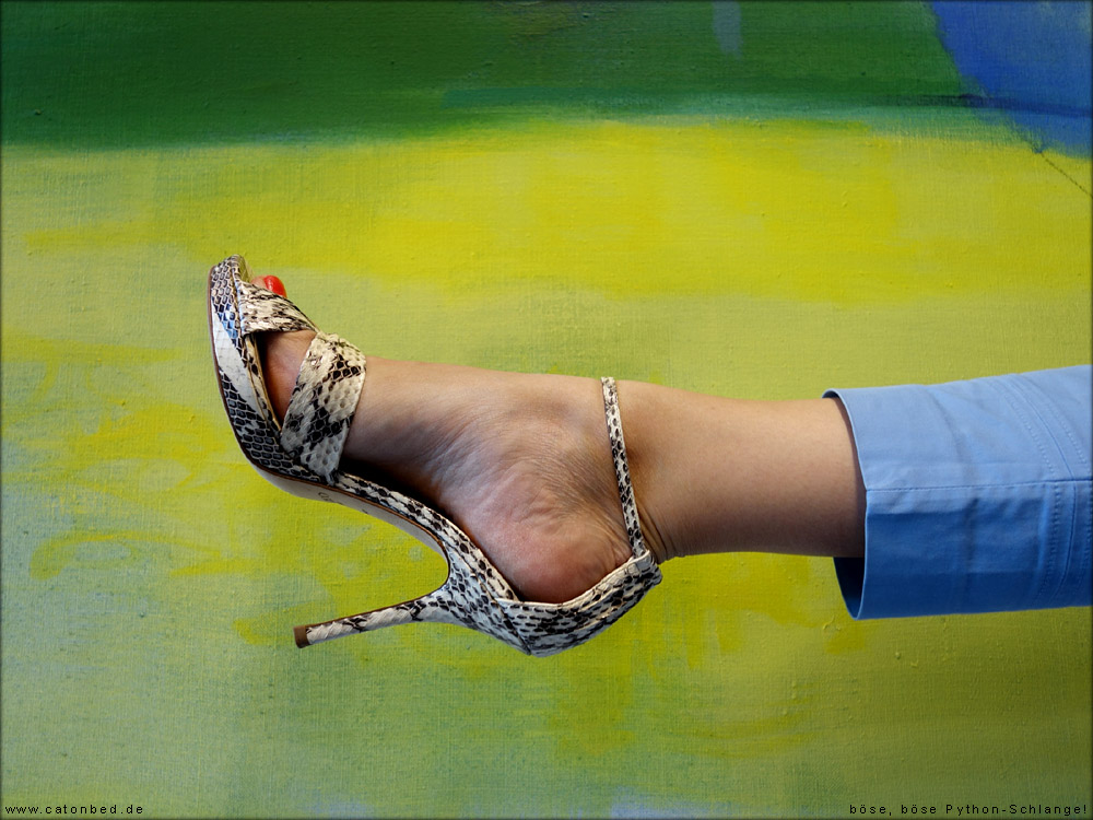 Reinhard Stangl / showroom, 2016