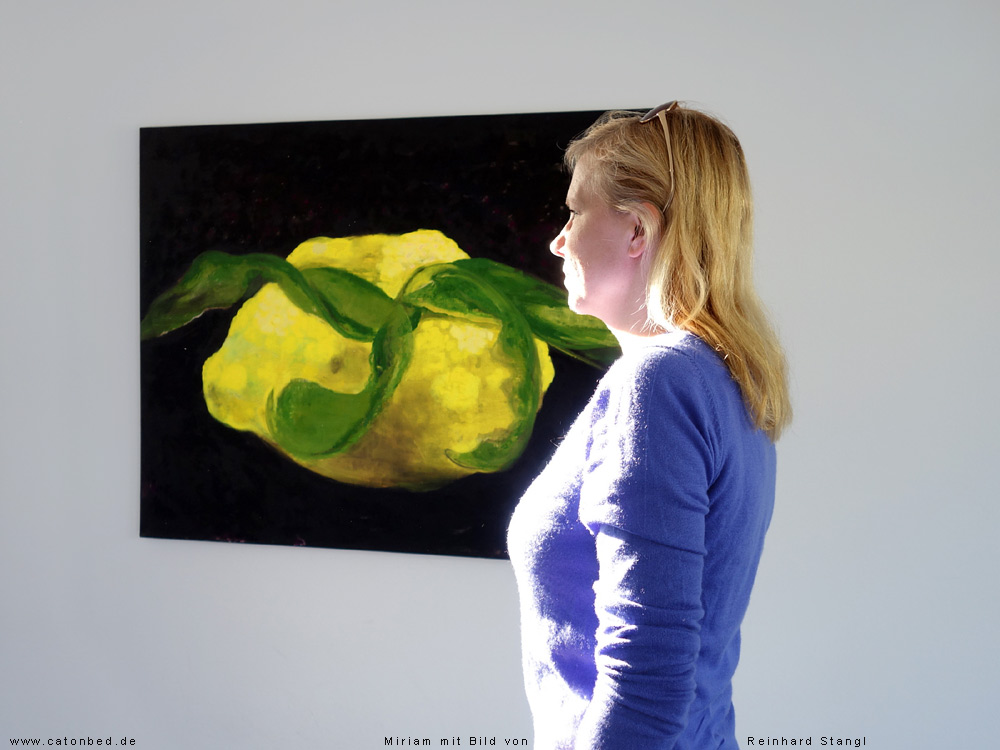 Reinhard Stangl / showroom, 2016