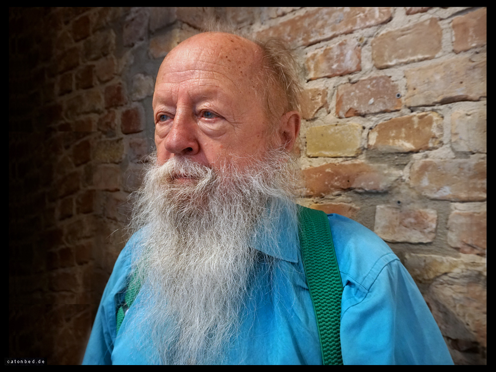 Horst Bartnig, Künstler