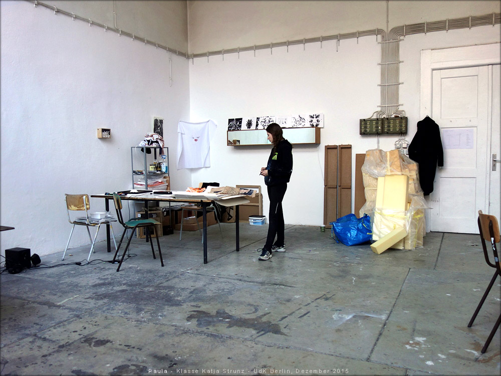 Paula Kletschke, 2015-12