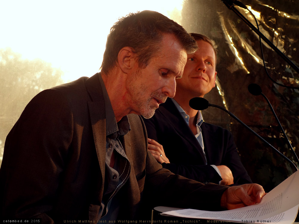 Ulrich Matthes, Schauspieler